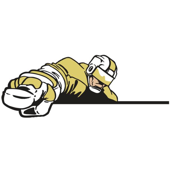 AR3 HOCKEY 19 RQC Thumbnail