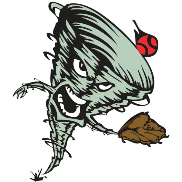 BAW STORM 09 RC Thumbnail